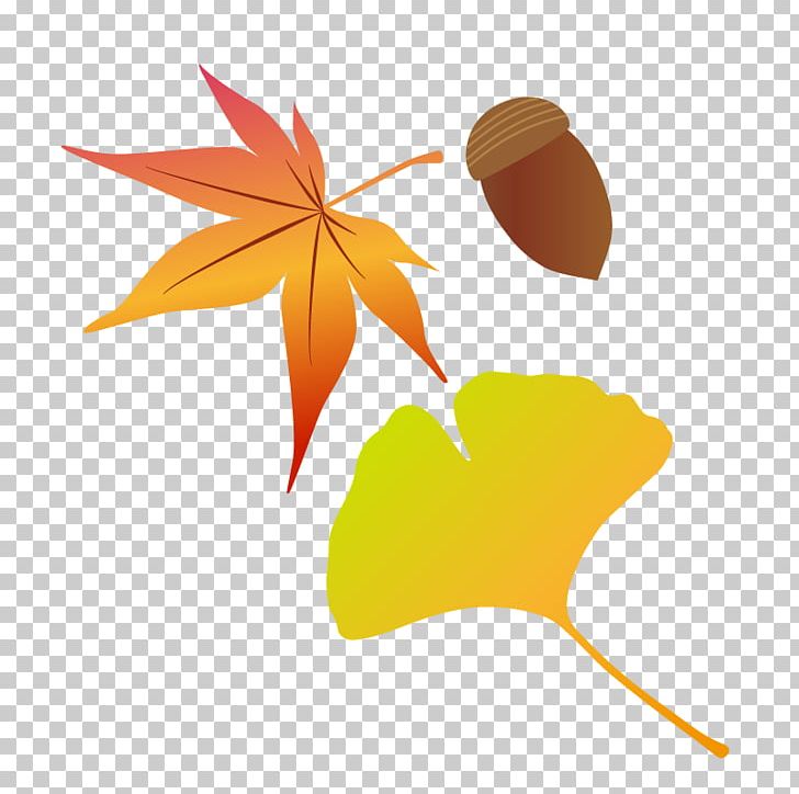 Autumn Leaf Color Illustration Tsukimi Snowboarding PNG, Clipart, Autumn, Autumn Leaf Color, Color, Computer Wallpaper, Leaf Free PNG Download