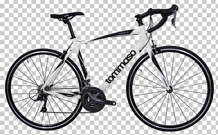 Road Bicycle Via Tommaso Moro Racing Bicycle Tommaso Bikes PNG, Clipart, Bicycle, Bicycle Accessory, Bicycle Forks, Bicycle Frame, Bicycle Frames Free PNG Download