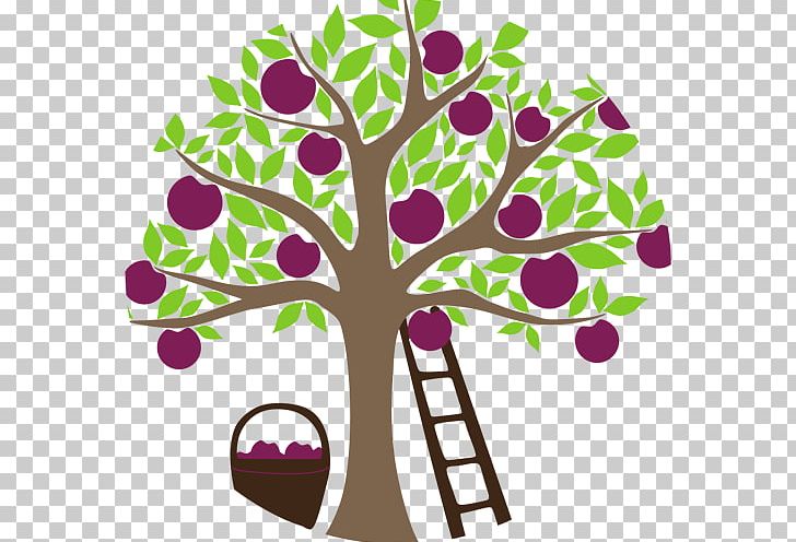 Southern Fruit Trees Espalier PNG, Clipart, Apple, Artwork, Branch, Cherry, Espalier Free PNG Download