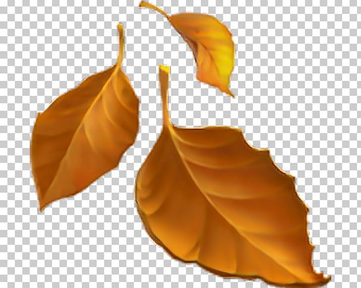 Emojipedia Autumn Leaf Color Autumn Leaf Color PNG, Clipart, Autumn, Autumn Leaf Color, Emoji, Emoji Movie, Emojipedia Free PNG Download