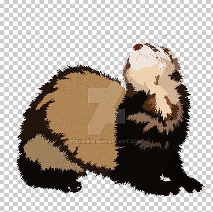 Black-footed Ferret Mink Cat Otter PNG, Clipart, Animal, Animals, Blackfooted Ferret, Carnivoran, Cat Free PNG Download
