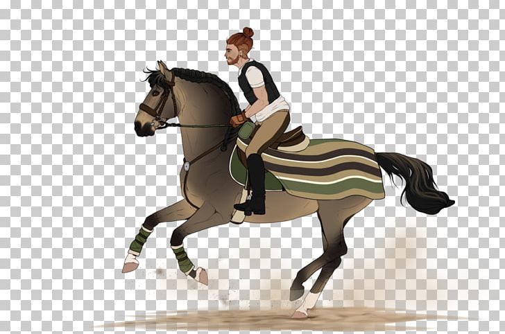 Hunt Seat Horse Stallion Drawing Equestrian PNG, Clipart, Animals, Animal Training, Equestrian, Equestrianism, Equestrian Sport Free PNG Download