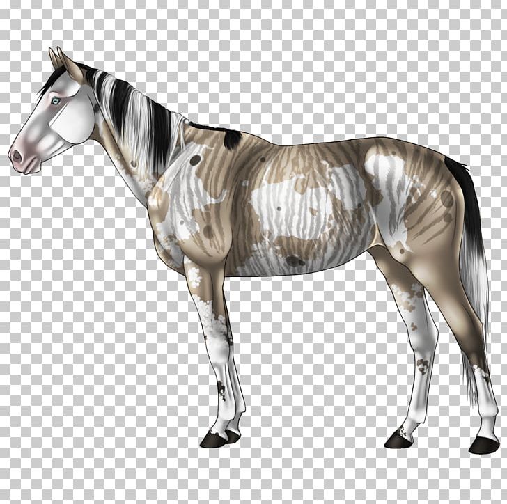 Mane Mustang Halter Stallion Mare PNG, Clipart, Animal Figure, Bald, Bridle, Champagne, Classic Free PNG Download