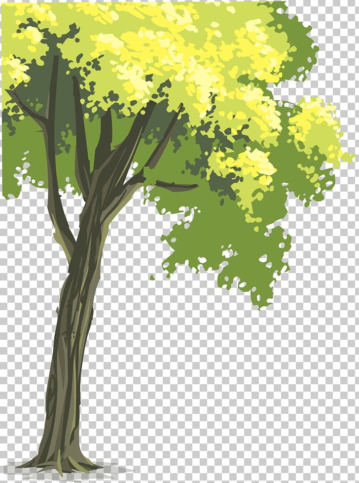Tree Woody Plant Statistics PNG, Clipart, Autumn Leaf Color, Branch, Flora, Floral Design, Flower Free PNG Download