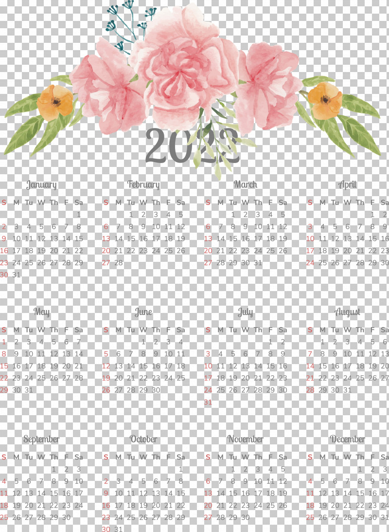 Floral Design PNG, Clipart, Biology, Calendar, Floral Design, Petal, Plant Free PNG Download