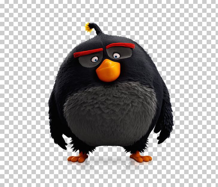 Angry Birds Epic Angry Birds Evolution Angry Birds Action! Eva The Birthday Mom Photog PNG, Clipart, Angry, Angry Birds, Angry Birds Action, Angry Birds Epic, Angry Birds Evolution Free PNG Download