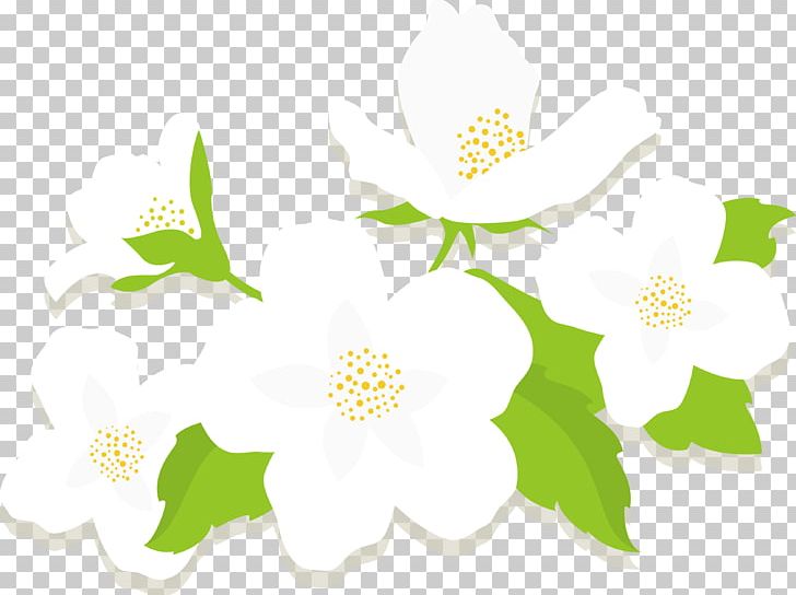 Jasmine Flower Euclidean PNG, Clipart, Branch, Encapsulated Postscript, Fleur Blanche, Flower, Flower Bouquet Free PNG Download