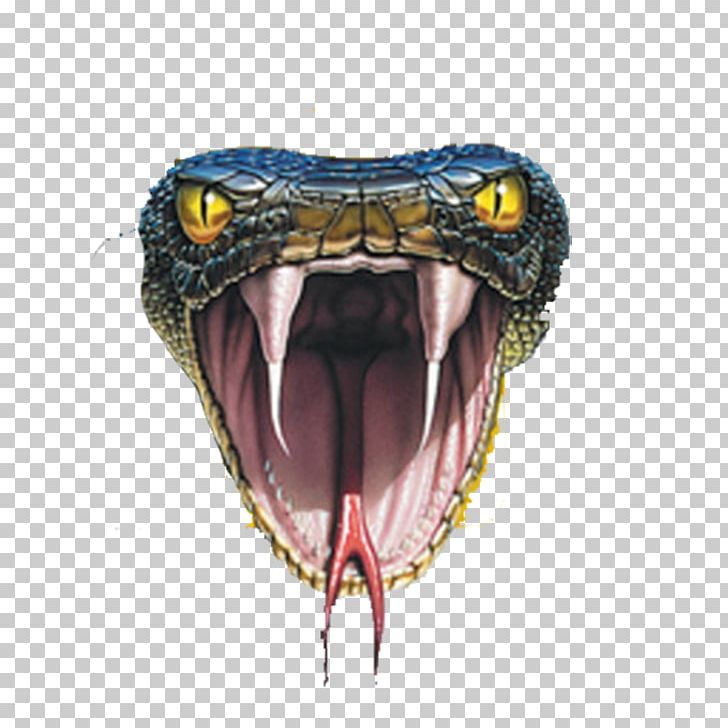 Black Mamba Snake HD Wallpaper APK for Android Download