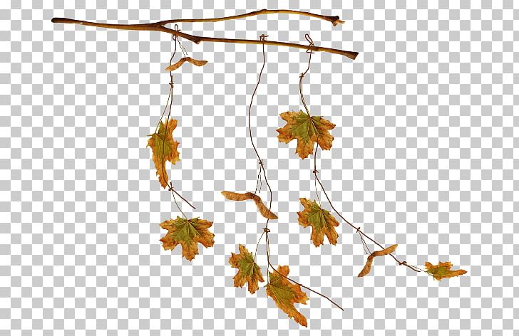 Leaf Autumn Leaves PNG, Clipart, Adobe Flash Player, Agac, Autumn, Autumn Leaves, Branch Free PNG Download