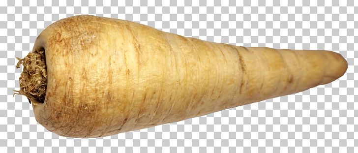 Parsnip Vegetable Turnip PNG, Clipart, Computer Icons, Falcarinol, Food, Napa Cabbage, Parsnip Free PNG Download