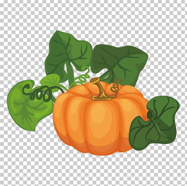 Pumpkin Calabaza Cucurbita Maxima Gourd Illustration PNG, Clipart, Cartoon, Cartoon Vegetables, Cucurbita, Euclidean Vector, Food Free PNG Download
