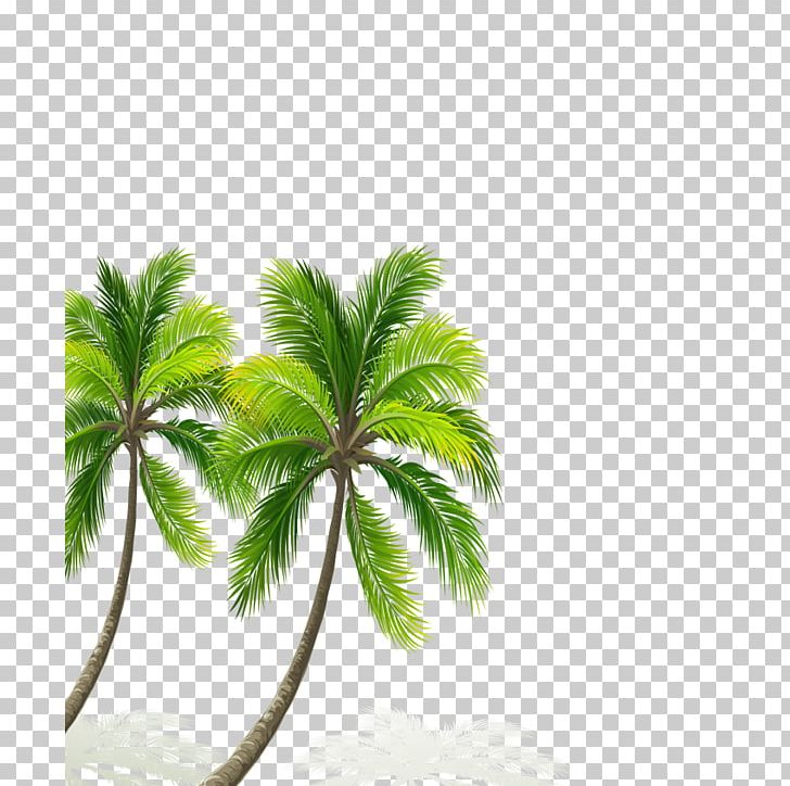 China Mural Coconut Wall PNG, Clipart, 3d Film, Beach, Branch, China, Christmas Tree Free PNG Download