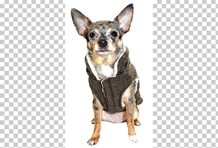 Dog Breed Chihuahua Companion Dog Bodywarmer Gilets PNG, Clipart, Bodywarmer, Breed, Carnivoran, Chihuahua, Clothing Free PNG Download