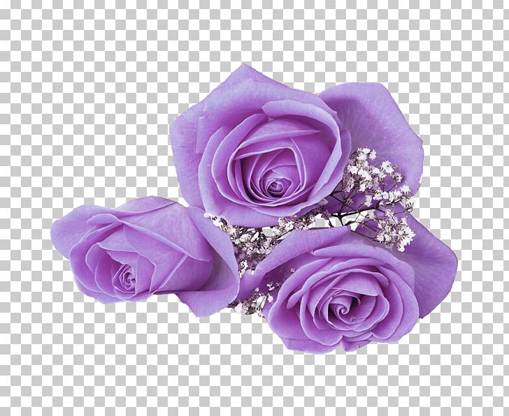 Flower Rose Mobile Phone PNG, Clipart, Art, Artificial Flower, Cut Flowers, Decoration, Display Resolution Free PNG Download