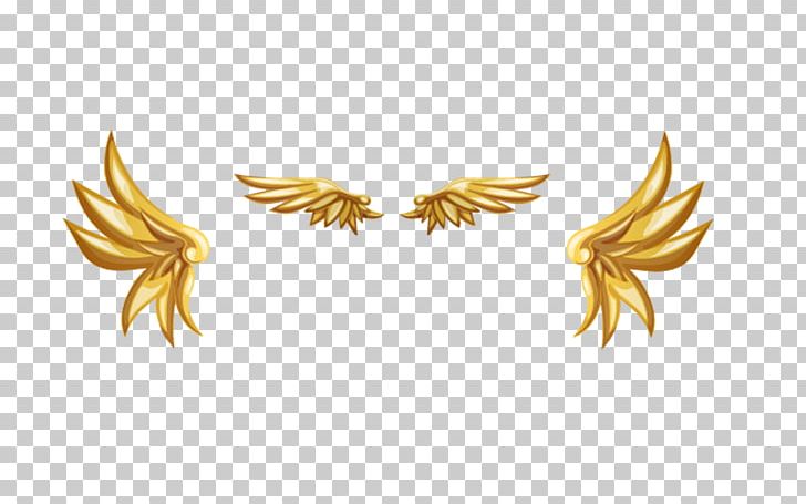 Gold PNG, Clipart, Adobe Illustrator, Adobe Systems, Angel Wing, Angel Wings, Chicken Wings Free PNG Download