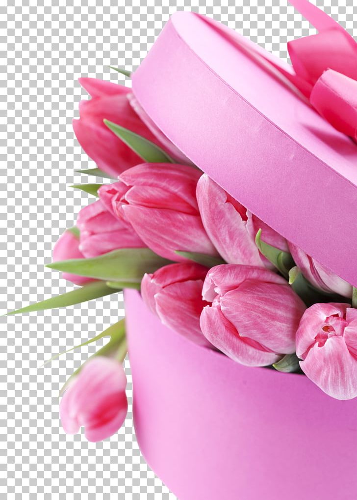 International Women's Day Happiness March 8 Woman Desktop PNG, Clipart, Cake Decorating, Cut Flowers, Desktop Wallpaper, Display Resolution, Feeling Free PNG Download