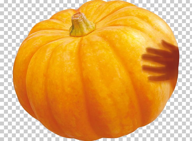 Pumpkin Calabaza Winter Squash Gourd PNG, Clipart, Bumper, Calabaza, Commodity, Food, Fruit Free PNG Download
