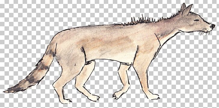 Red Fox Gray Wolf Coyote Rhinoceros Red Wolf PNG, Clipart, Artwork, Carnivoran, Cat Like Mammal, Cheat, Cheat Sheet Free PNG Download