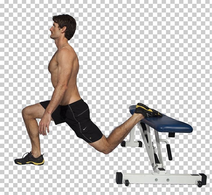 Bench Lunge Physical Fitness Exercise Weight Training PNG, Clipart, Abdomen, Alternate, Arm, Balance, Bench Free PNG Download