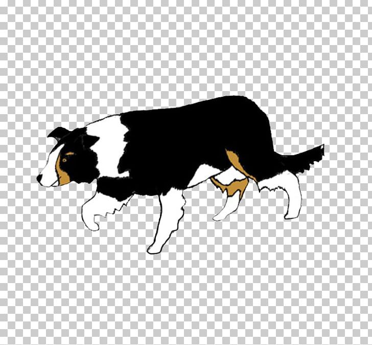 Dog Breed Border Collie Rough Collie PNG, Clipart, Boer Goat, Border Collie, Breed, Carnivoran, Dog Free PNG Download