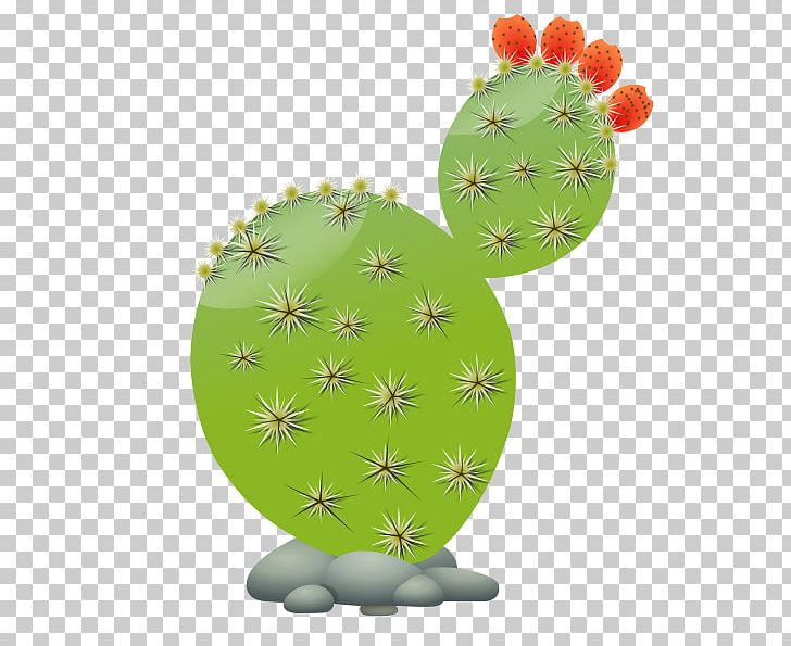 Cactaceae Free Content PNG, Clipart, Animation, Download, Drawing, Flower, Flower Bouquet Free PNG Download