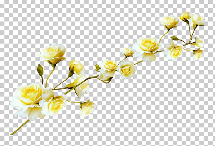 Flower PNG, Clipart, Blossom, Branch, Cherry Blossom, Clip Art, Cut Flowers Free PNG Download