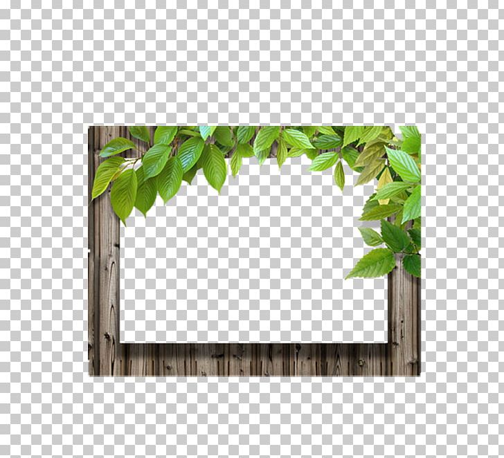 Frame Leaf Wood PNG, Clipart, Border, Border Frame, Computer Graphics, Download, Film Frame Free PNG Download