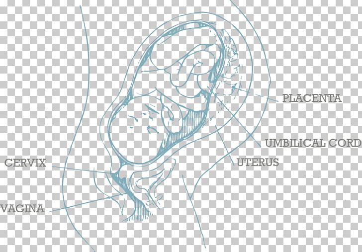 Infant Pregnancy Child Preterm Birth PNG, Clipart, Abdomen, Angle, Arm, Birth, Cartoon Free PNG Download