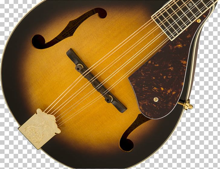 Acoustic Guitar Mandolin Cuatro Acoustic-electric Guitar Bass Violin PNG, Clipart, Acoustic Electric Guitar, Acoustic Guitar, Cuatro, Double Bass, Guitar Accessory Free PNG Download