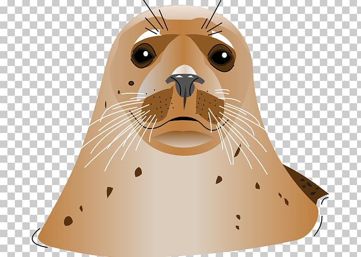 Sea Lion Computer Icons PNG, Clipart, Animals, Beak, Carnivoran, Computer Icons, Download Free PNG Download