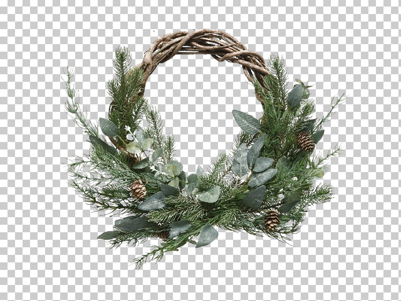 Christmas Decoration PNG, Clipart, Branch, Christmas Decoration, Colorado Spruce, Conifer, Cypress Family Free PNG Download