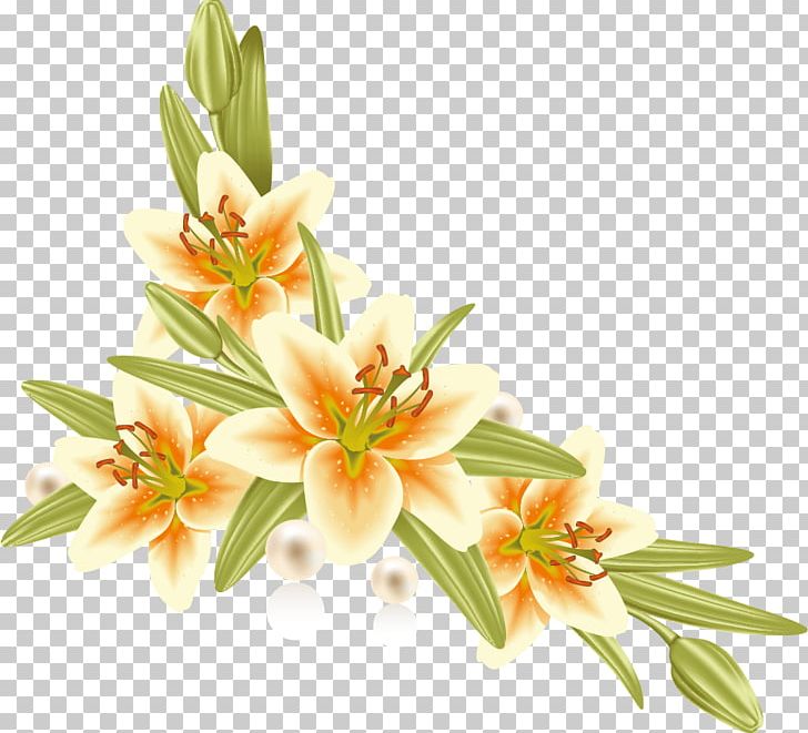 Flower Paper Lilium Photography Frames PNG, Clipart, Artificial Flower, Blog, Cut Flowers, Drawing, Floral Design Free PNG Download