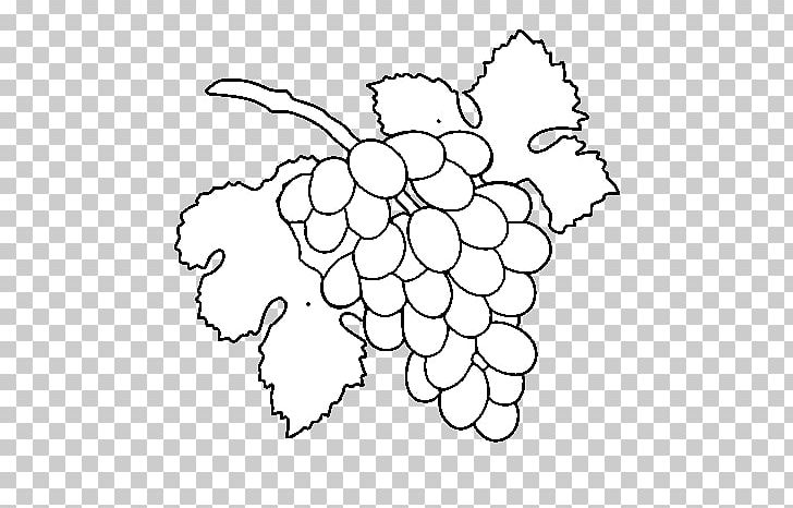 Grape Drawing Raceme Coloring Book Painting PNG, Clipart, Black And White, Branch, Circle, Color, Coloring Book Free PNG Download
