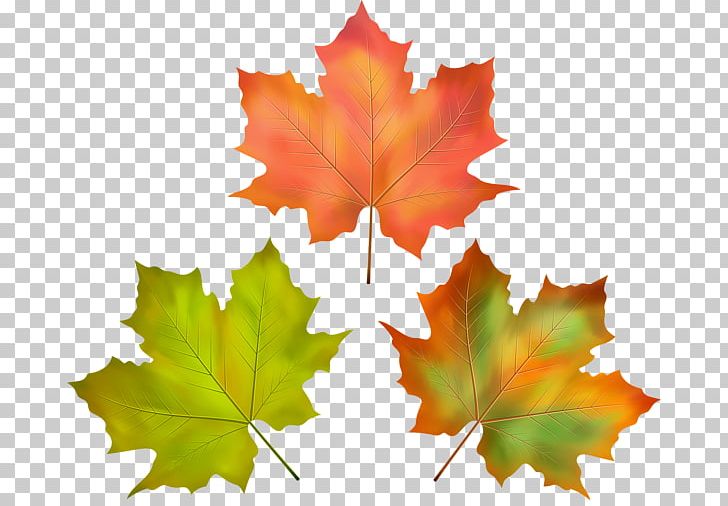 Portable Network Graphics Autumn Leaf PNG, Clipart, Autumn, Autumn Leaf Color, Composition, Landscape, Landscape Painting Free PNG Download