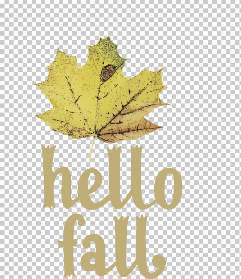 Leaf Maple Leaf / M Font Tree Meter PNG, Clipart, Autumn, Biology, Fall, Hello Fall, Leaf Free PNG Download