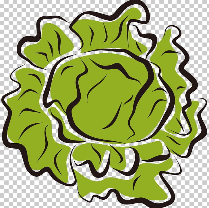 Iceberg Lettuce Vegetable Salad PNG, Clipart, Artwork, Balloon Cartoon, Boy Cartoon, Cabbage, Cartoon Free PNG Download