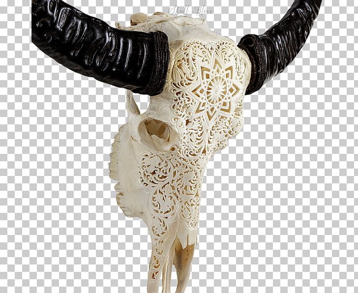 Mandala Skull The World Within Our Minds Cattle XL Horns PNG, Clipart, Bone, Buffalo, Cattle, Circle, Divinity Free PNG Download