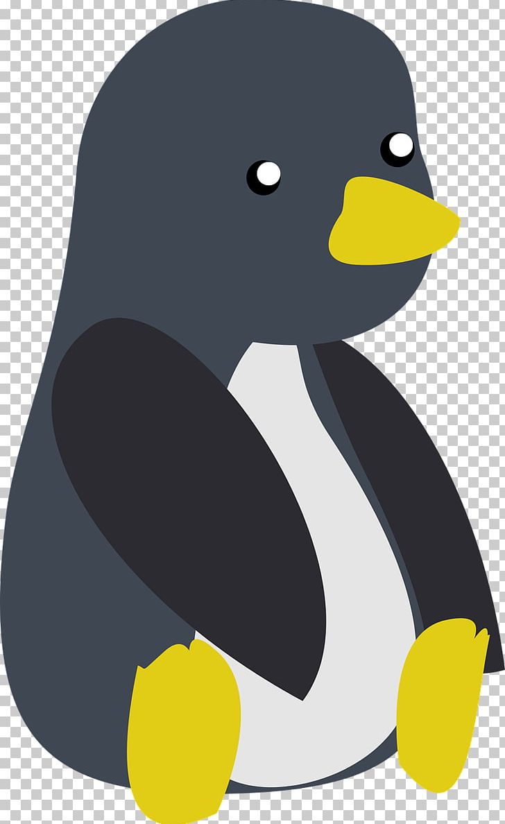 Penguin T-shirt Duck Designer PNG, Clipart, Animals, Baby, Beak, Bird, Clothing Free PNG Download