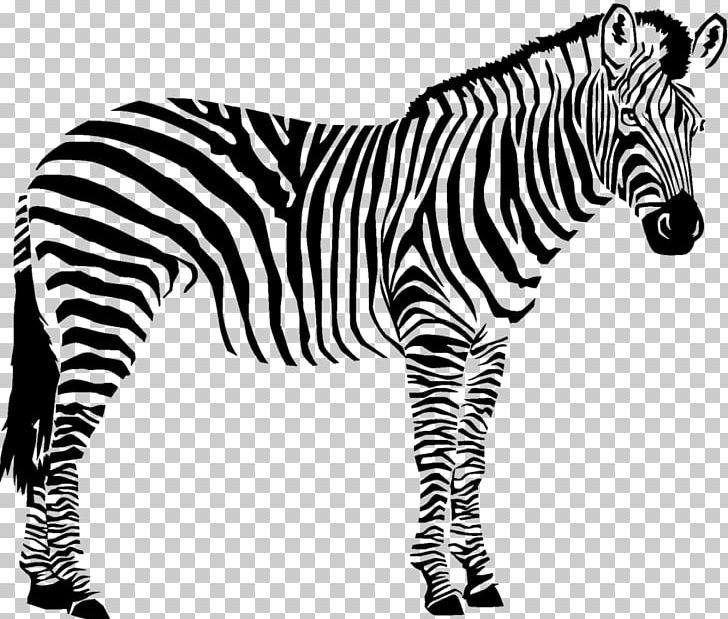 Quagga Animals Black And White Wildlife PNG, Clipart, Animal, Animal Figure, Animals, Animals Black And White, Animal Welfare Free PNG Download