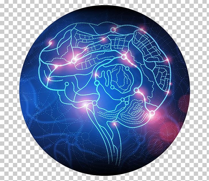 BRAIN Initiative Research Neuroimaging Science PNG, Clipart, Brain, Brain Initiative, Brain Mapping, Brain Size, Cerebral Cortex Free PNG Download