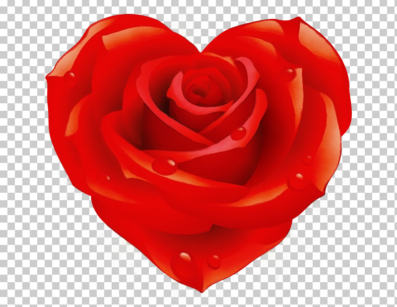 Garden Roses PNG, Clipart, Artificial Flower, Cut Flowers, Floribunda, Flower, Garden Roses Free PNG Download