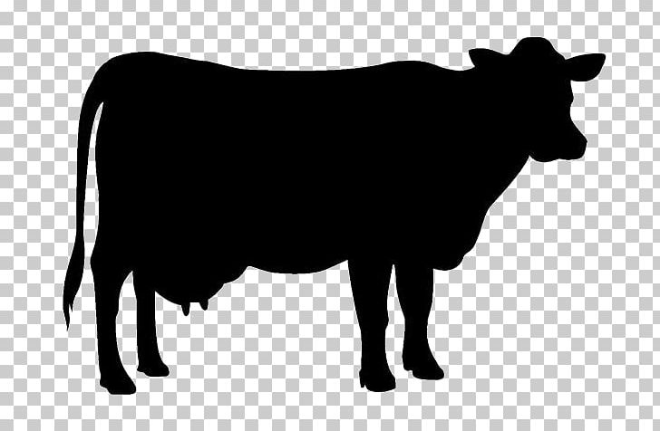 Jersey Cattle Holstein Friesian Cattle Beef Cattle Silhouette PNG, Clipart, Animals, Black, Black And White, Bull, Calf Free PNG Download
