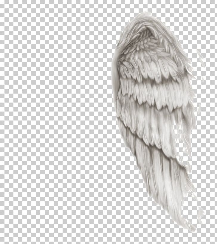 Raster Graphics Editor PNG, Clipart, Angel, Angel Wings, Archive File, Art Angel, Beak Free PNG Download
