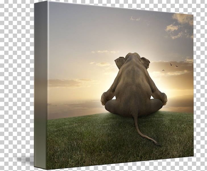 meditation clipart pictures of elephants