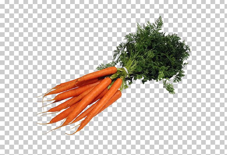 Baby Carrot Mirepoix Leaf Vegetable Superfood PNG, Clipart, Baby Carrot, Bund, Carrot, Food, Leaf Vegetable Free PNG Download
