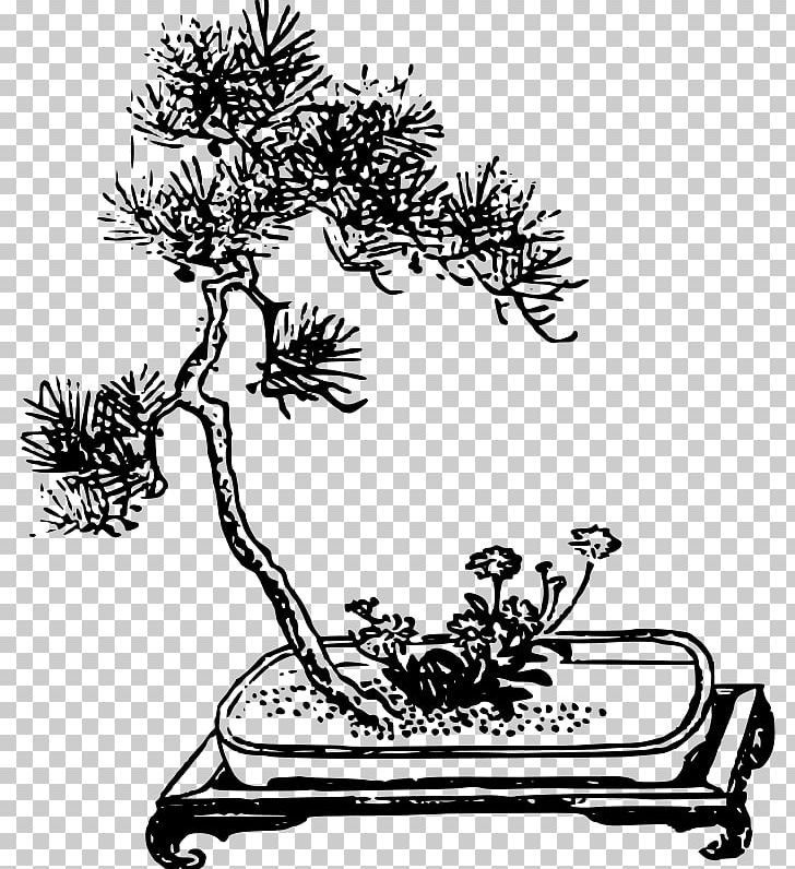 Branch Bonsai Da Interno Ficus Retusa PNG, Clipart, Art, Artwork, Black And White, Bonsai, Branch Free PNG Download