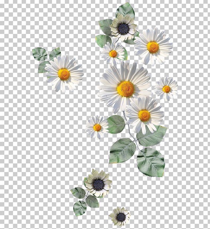 Flower Paper Drawing Icon PNG, Clipart, Accessories, Antiquity, Camera Icon, Cartoon, Christmas Decoration Free PNG Download