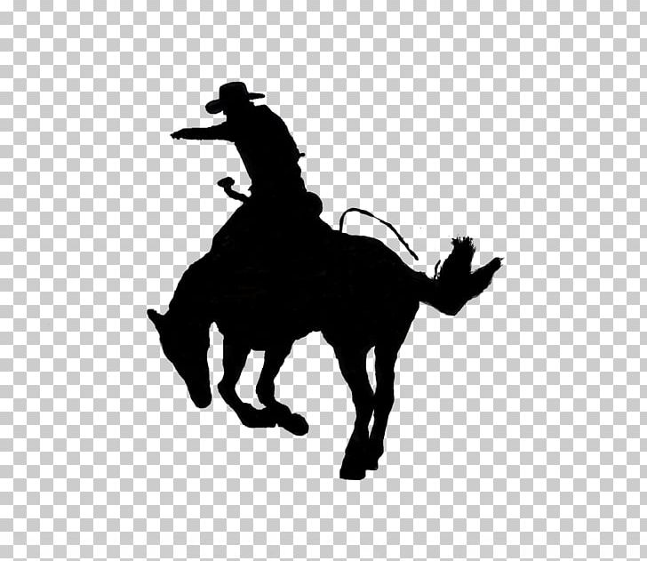Kentucky Horse Park Calf Roping Lexington Rodeo Team Roping PNG, Clipart, Black, Calf Roping, Cowboy, Fictional Character, Horse Free PNG Download