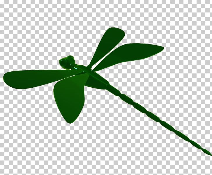 Leaf Plant Stem Line PNG, Clipart, Grass, Green, Insect, Leaf, Libelula Free PNG Download