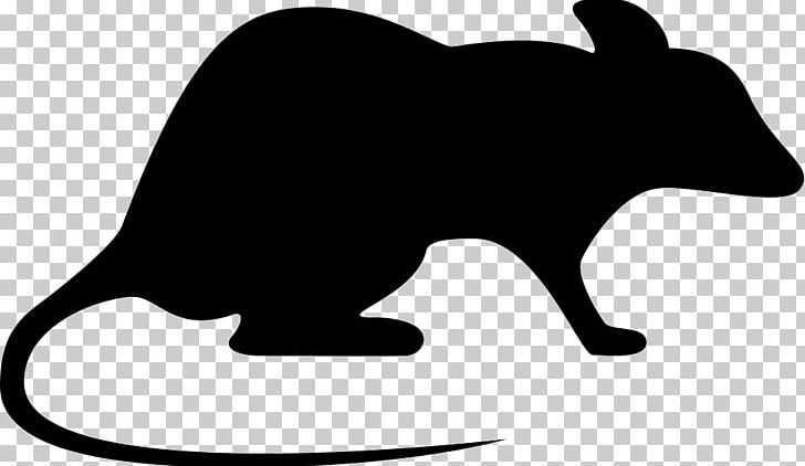 Pest Control Computer Icons Exterminator PNG, Clipart, Black, Black And White, Carnivoran, Cat, Cat Like Mammal Free PNG Download